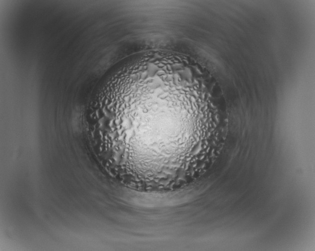 X0000071940034200607071155