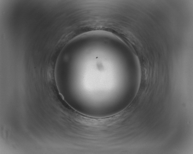 X0000071940035200607071155