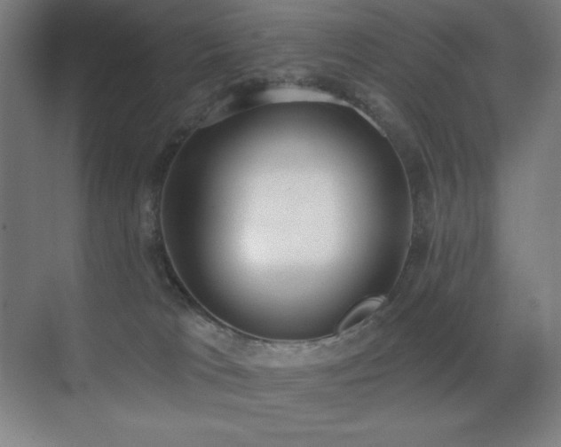 X0000071940037200607071155