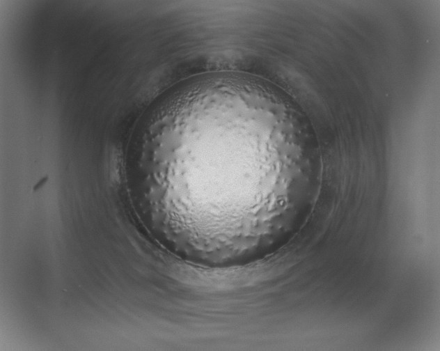 X0000071940038200607071155