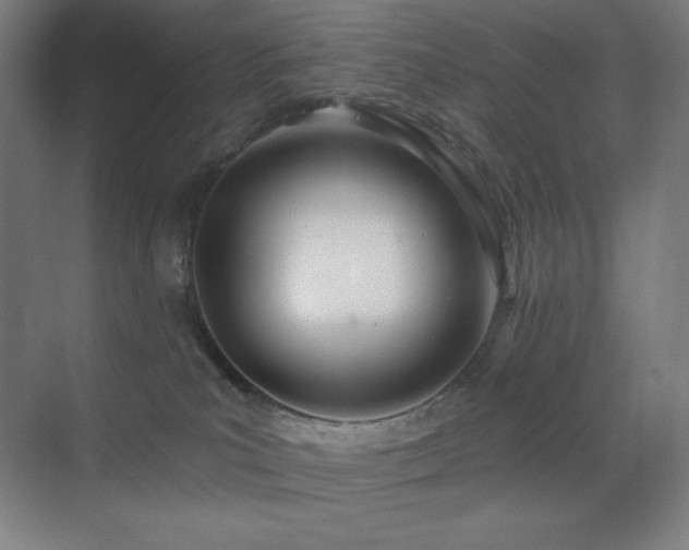 X0000071940039200607071155