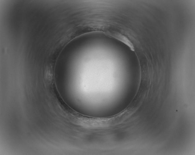 X0000071940040200607071155