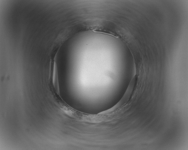 X0000071940041200607071155