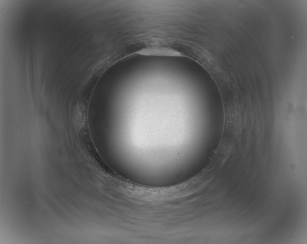 X0000071940043200607071155