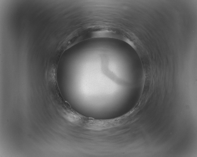 X0000071940045200607071155