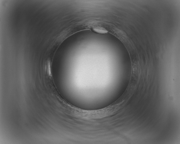X0000071940046200607071155