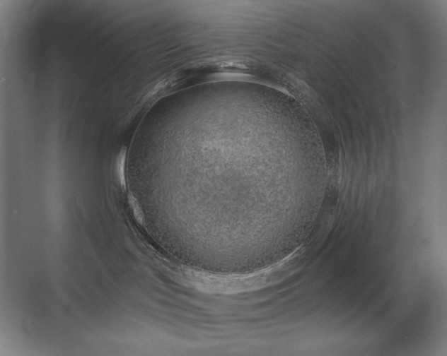 X0000071940047200607071155