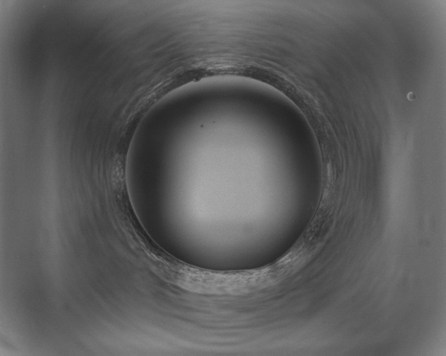 X0000071940048200607071155