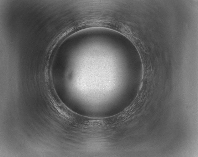 X0000071940050200607071154