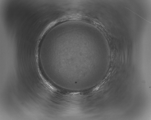 X0000071940054200607071154
