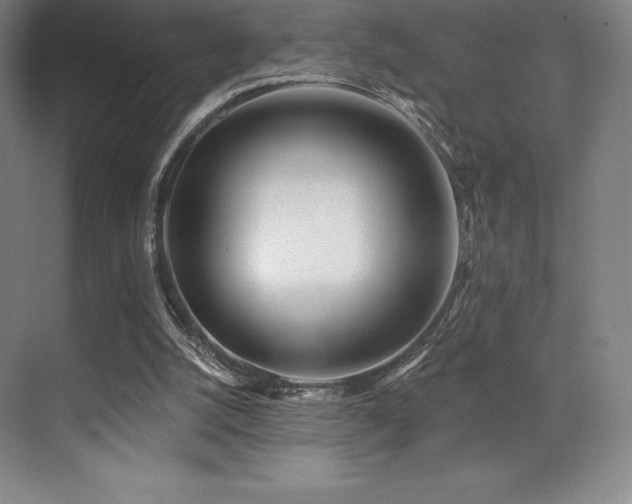 X0000071940056200607071155