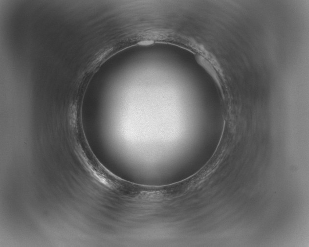 X0000071940057200607071155