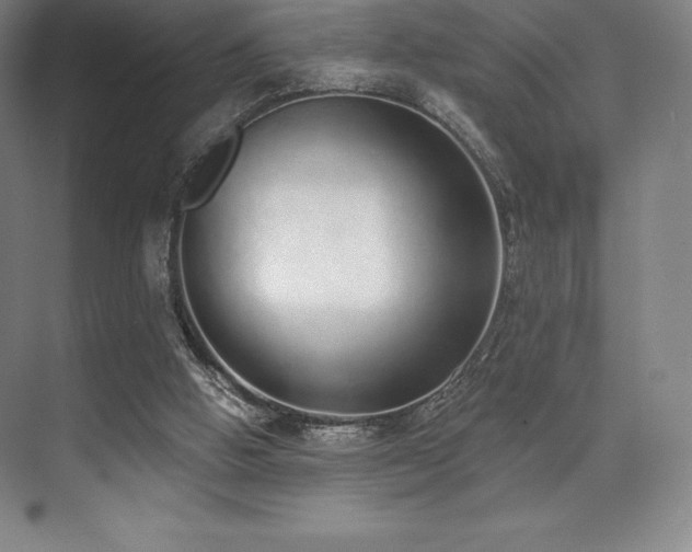 X0000071940058200607071155
