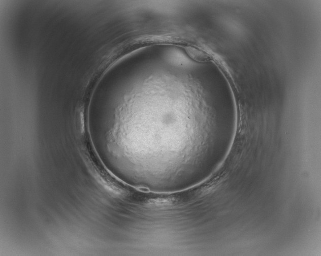 X0000071940061200607071155