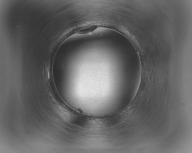 X0000071940062200607071155