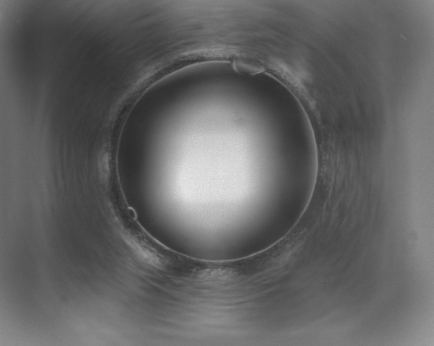 X0000071940063200607071155