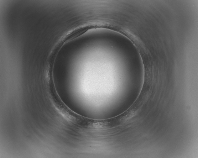 X0000071940064200607071155