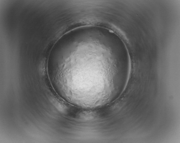 X0000071940065200607071155