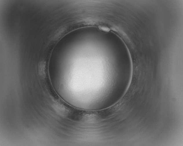 X0000071940066200607071155