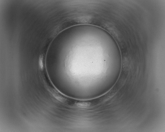 X0000071940069200607071155