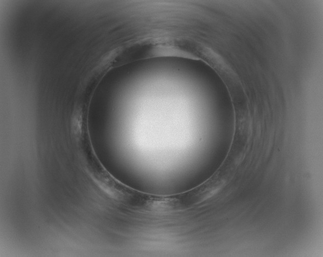 X0000071940072200607071155