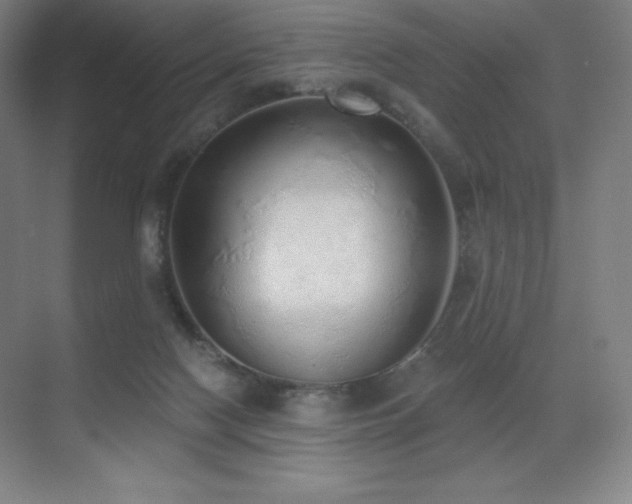 X0000071940074200607071155