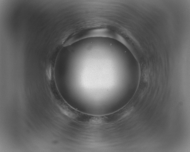 X0000071940076200607071155