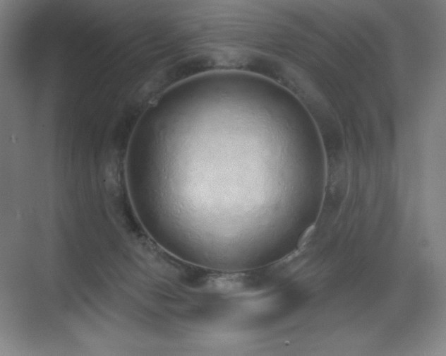 X0000071940078200607071155