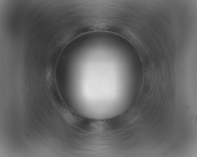 X0000071940079200607071155
