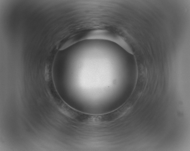 X0000071940080200607071155