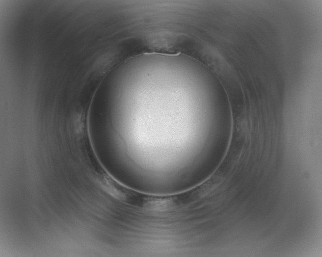 X0000071940081200607071155