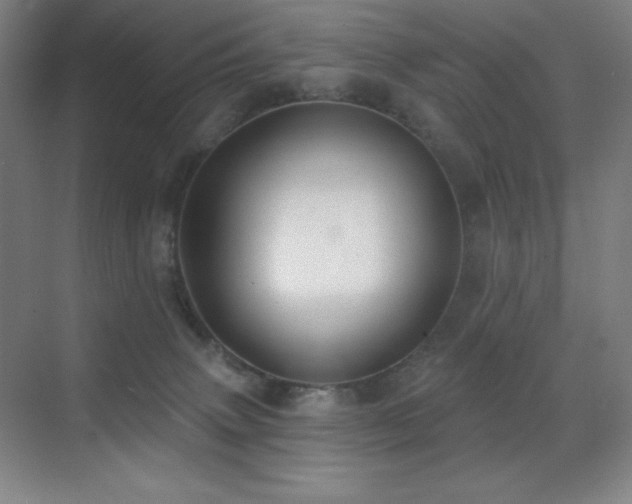 X0000071940083200607071155