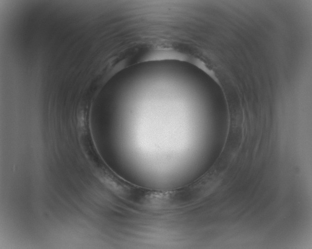X0000071940084200607071155