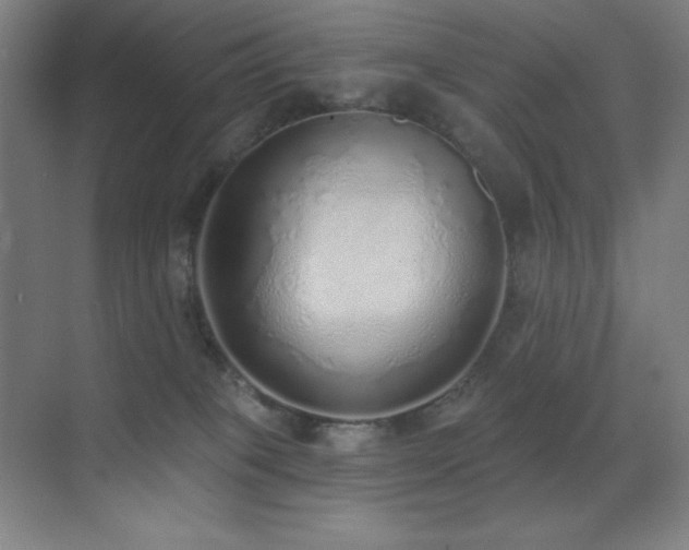 X0000071940085200607071155