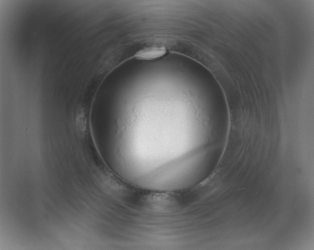 X0000071940086200607071155