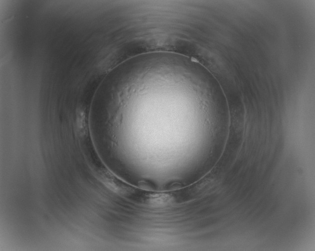 X0000071940087200607071155