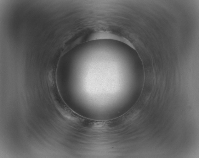 X0000071940088200607071155