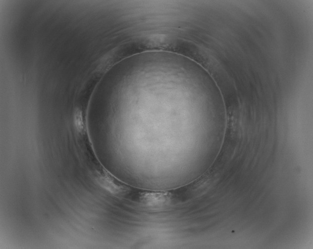 X0000071940089200607071155