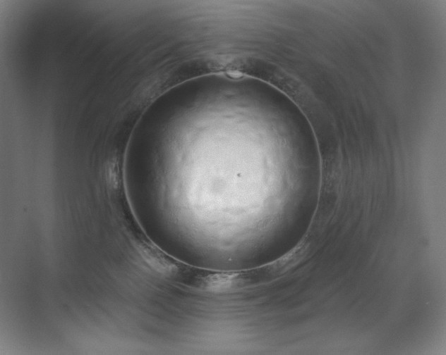 X0000071940090200607071155