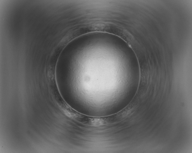 X0000071940091200607071155