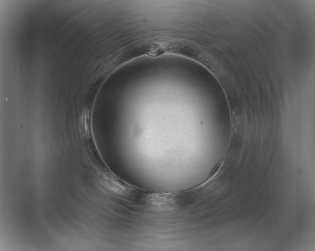 X0000071940094200607071155