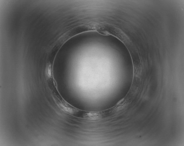 X0000071940095200607071155