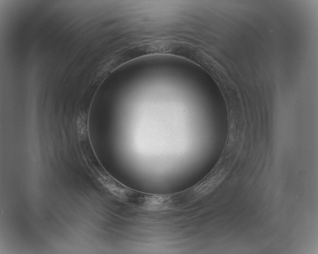X0000071940096200607071155
