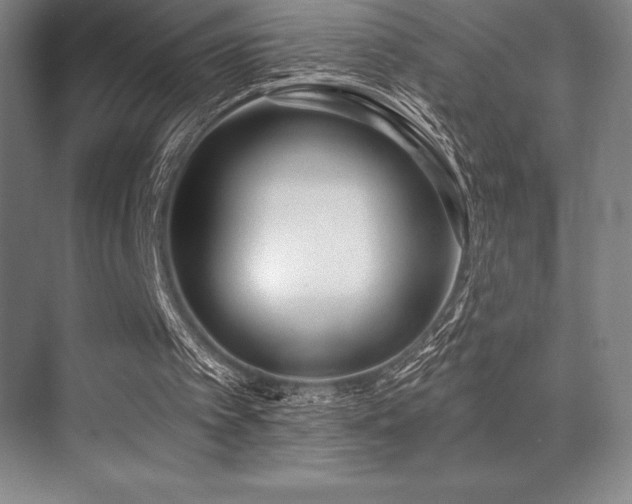 X0000071940097200607071154
