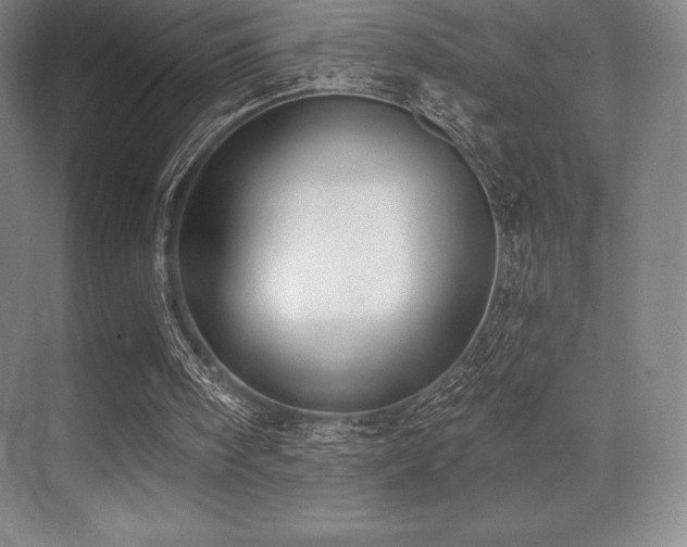 X0000071940098200607071154