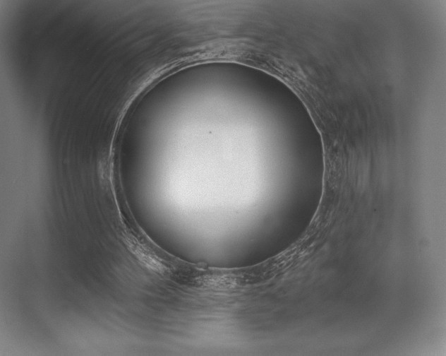 X0000071940100200607071154