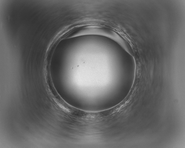 X0000071940101200607071154