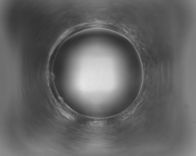 X0000071940102200607071154