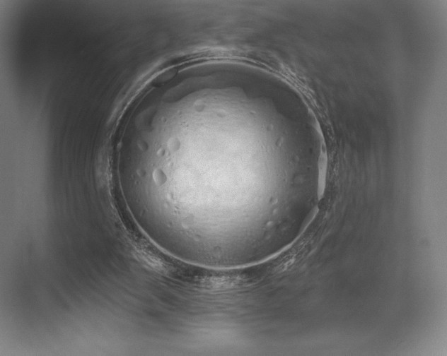 X0000071940103200607071154