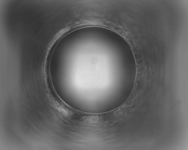 X0000071940104200607071154